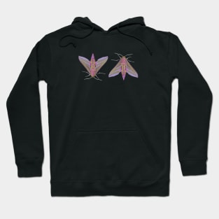 Pink Moths Hoodie